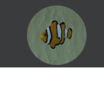 clownfish gang