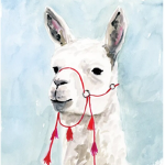 !!! Llama !!!