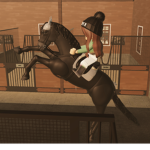 Equestrian events