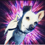 Pushybonbon2