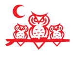 Solo Sanborns