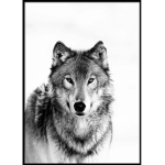 Wolves_For_Life_Bff