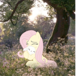 ୨୧ ’fluffe puff