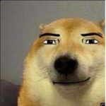 Doges milatary group