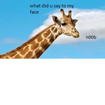 Giraffe Ranger's