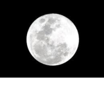The Moon Group!!!!