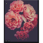 Flower loveies