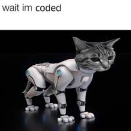 Ragdoll Experience