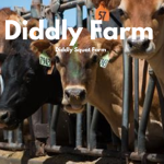 Diddly Farm