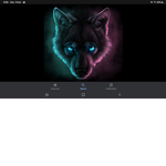 Wolf team:D