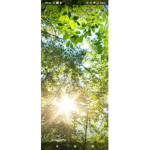 Grupo da natureza linda