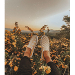 Pictures And Editing Club