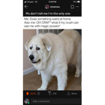 Why is this made