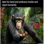 The monkeys united.