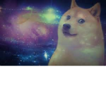 Doges of Space