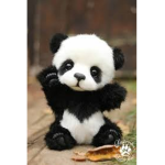 pandas_squad_