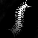 蟲Worm