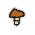 fungus studios!