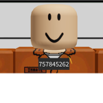 Noob in prison