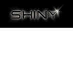 Shiny's Cafe