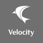 flyVelocity