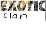 Clan C R F (new group)