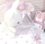 bunny crew clothing <3