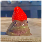 Fr0g universe
