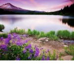 |~Nature Beauty~|