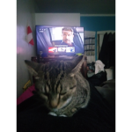 Davidisguvingyouhype