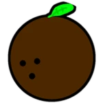 Coconut Orange