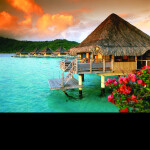 boogielou122's Place