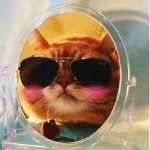 Cat army official!