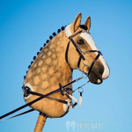 {~ Hobby Horse Group ~}