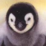 Order of the Penguin