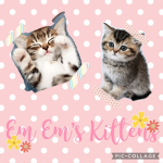 Em Em’s Kittens