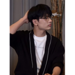 SW4GGYPI4FANS