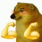 Zkred300