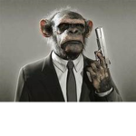 Monkey In Suits