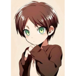 The Attack On Titan Fan Group :)