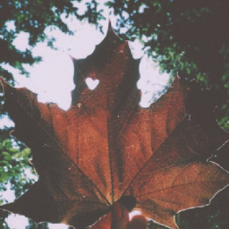 ☤