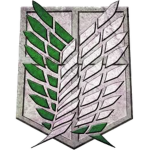 The Shiganshina Squadron