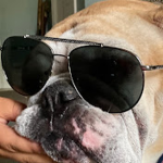 Koolkid's Cult