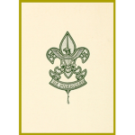 Official Boy Scouts