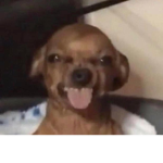 Sophie666