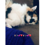 Cloudy UwU Galaxy!!!