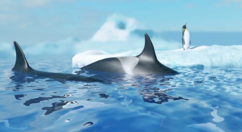Oceanic TESTING 2 🐬
