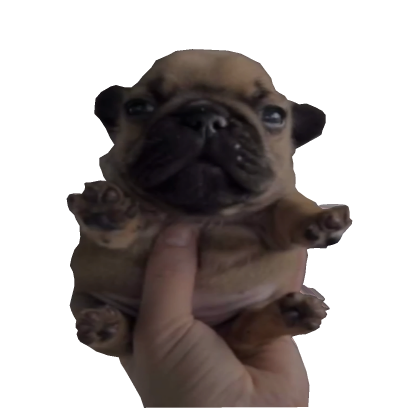 pibble