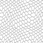 iidom_ii group