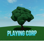 playing corp